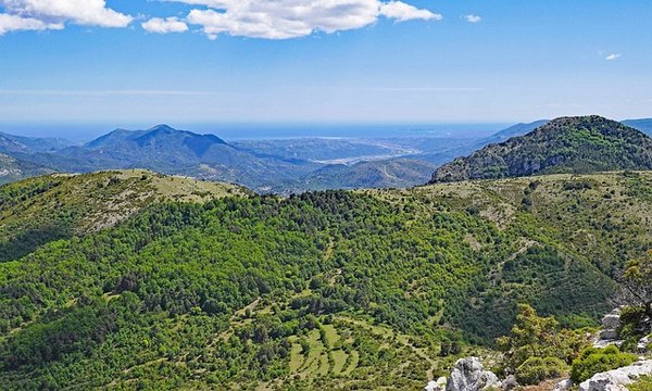 Découvrez les Perles Cachées des Campings dans le Sud de la France